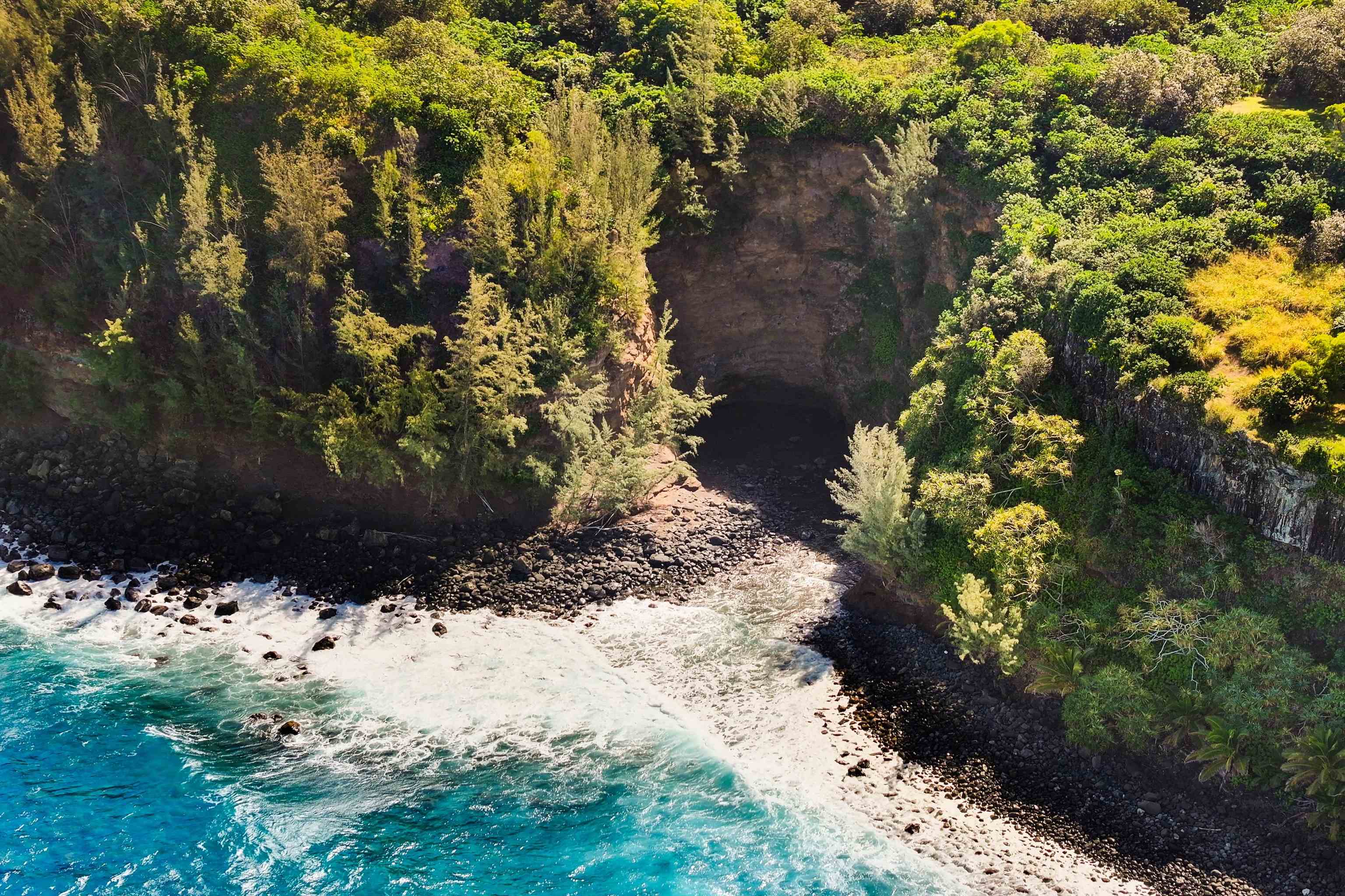 400 Mehana Road Haiku, HI 96708 - Photo 46 of 50 a view of a bunch of flowers and trees