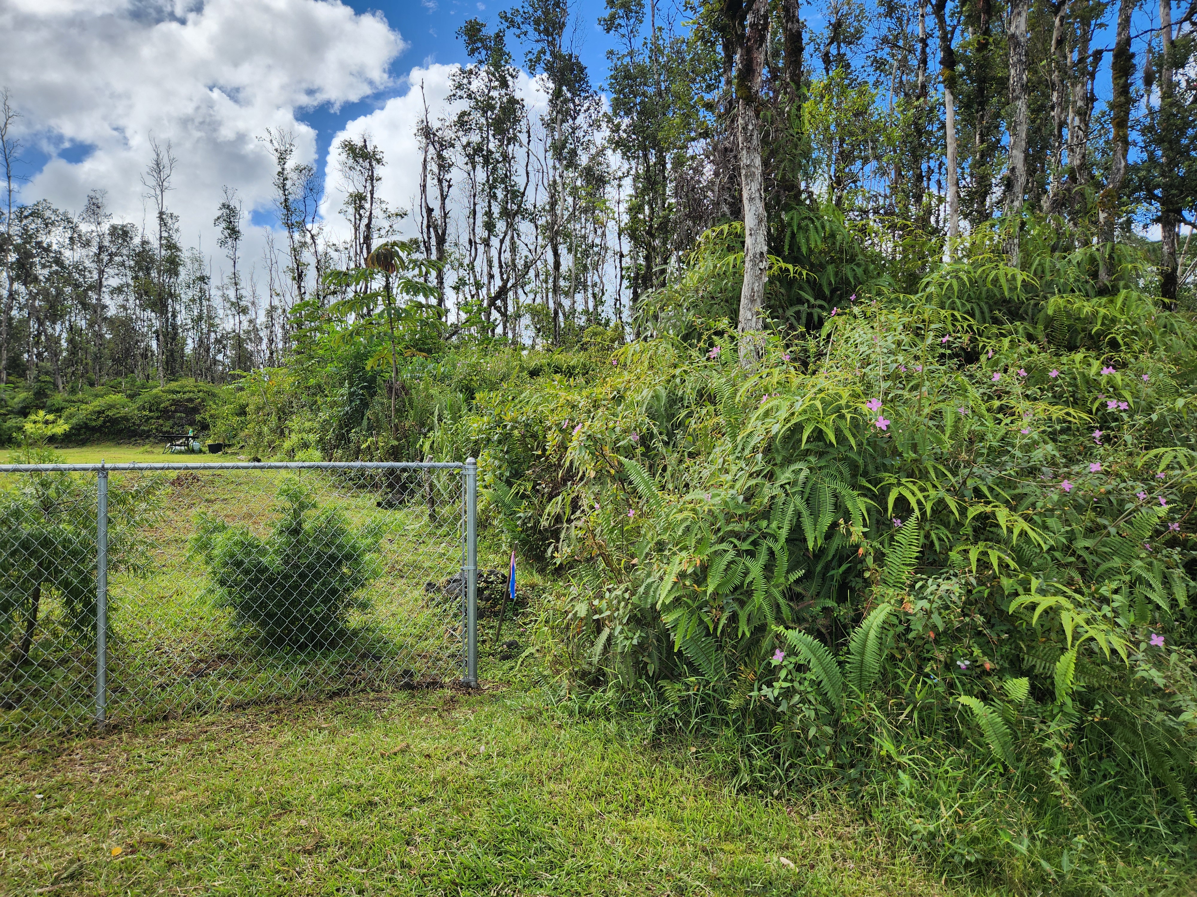611 Holiday Road Pahoa, HI 96778 - Photo 7 of 7 Gallery Image 7