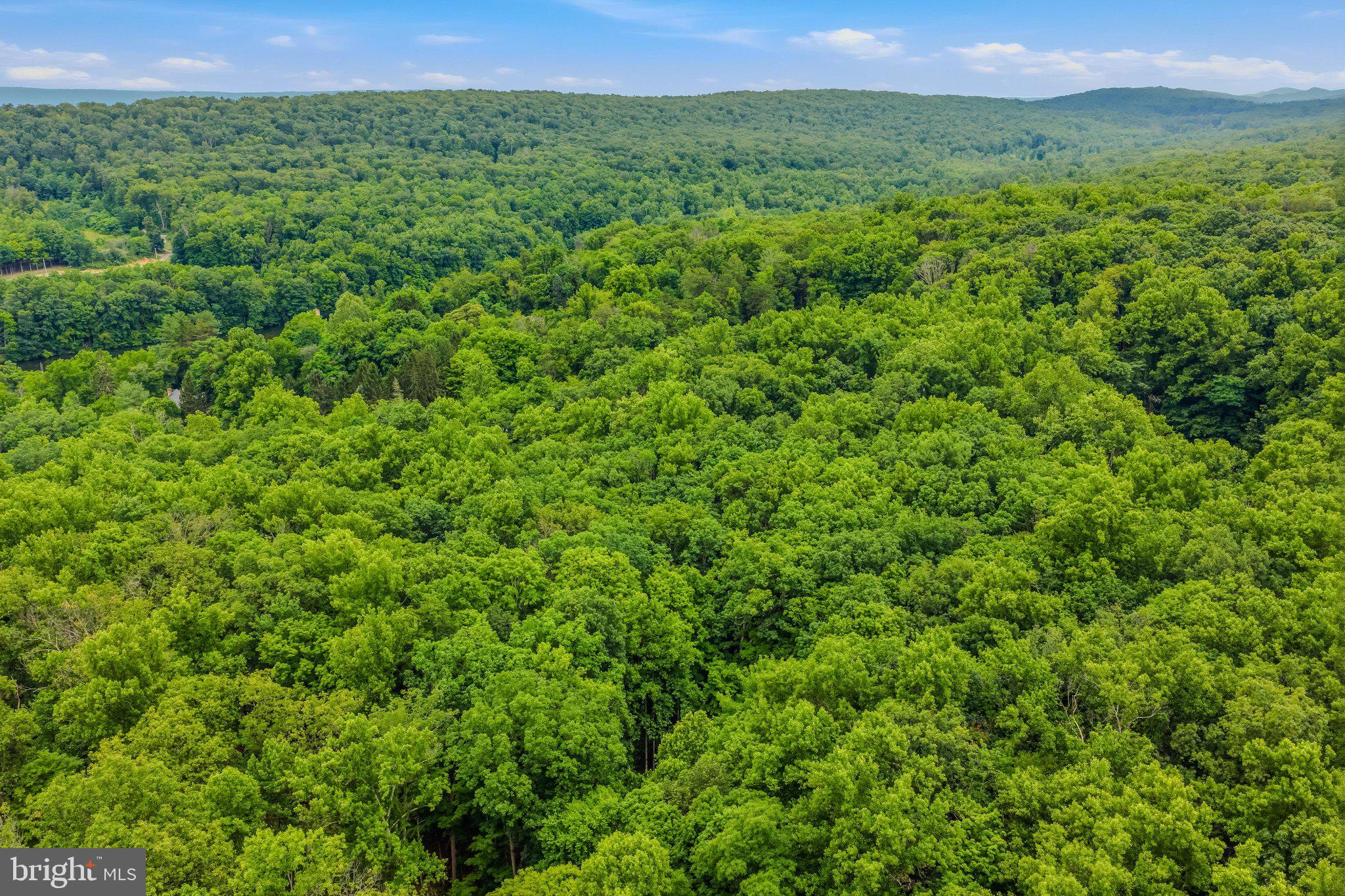 221 Mountainside Road Berkeley Springs, WV 25411 - Photo 35 of 53 Aerial View