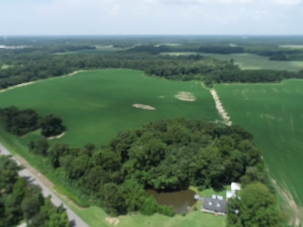 76.47-ac Eddins Road Dothan, AL 36301 - Photo 38 of 44