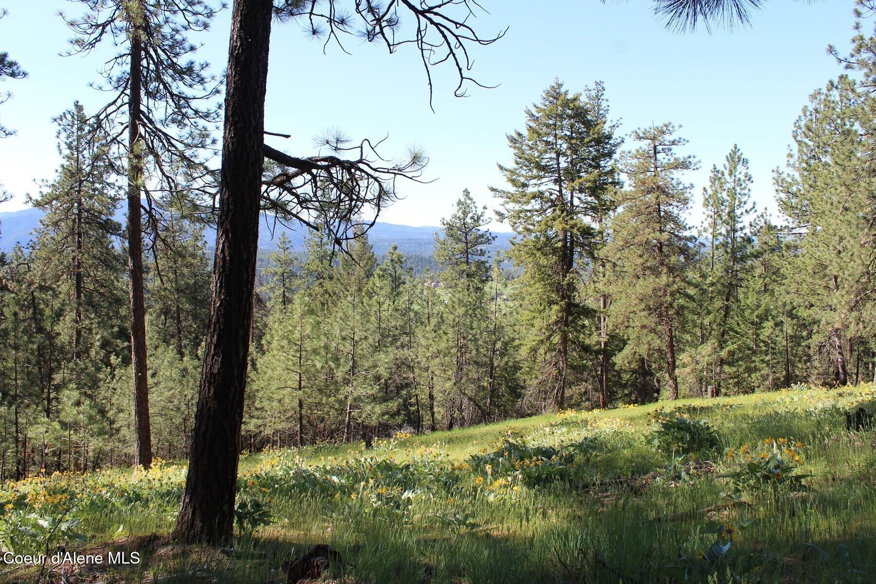 881-2714 South Allen Road Coeur D'Alene, ID 83814 - Photo 20 of 54 IMG_7256