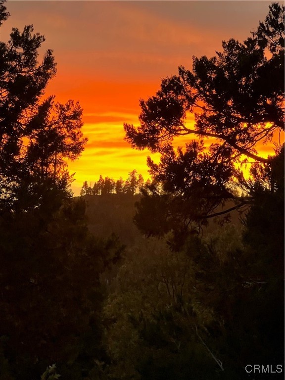 380 Pioneer Road Lake Arrowhead, CA 92352 - Photo 49 of 52