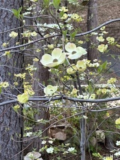 380 Pioneer Road Lake Arrowhead, CA 92352 - Photo 51 of 52