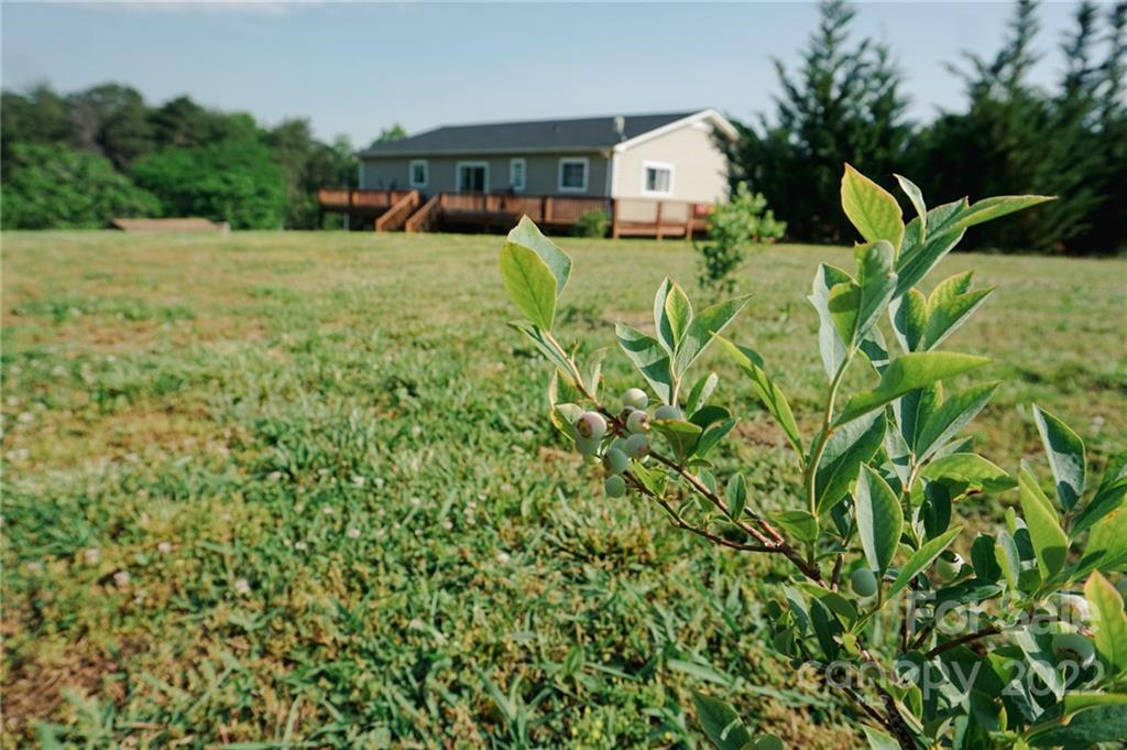 516 Starview Drive Rutherfordton, NC 28139 - Photo 24 of 47 a view of a house with a yard