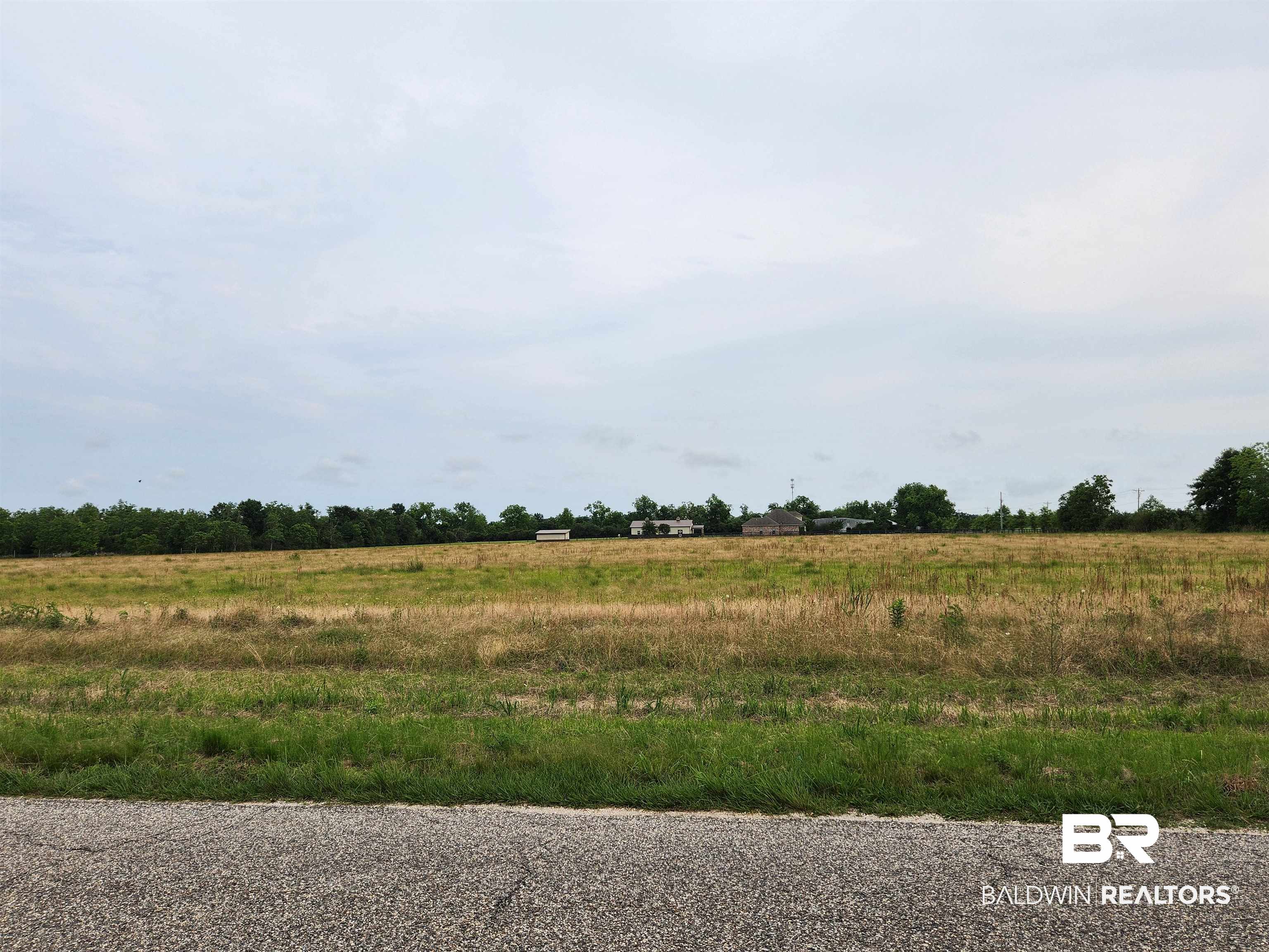 0 County Road 10 Foley, AL 36535 - Photo 1 of 6