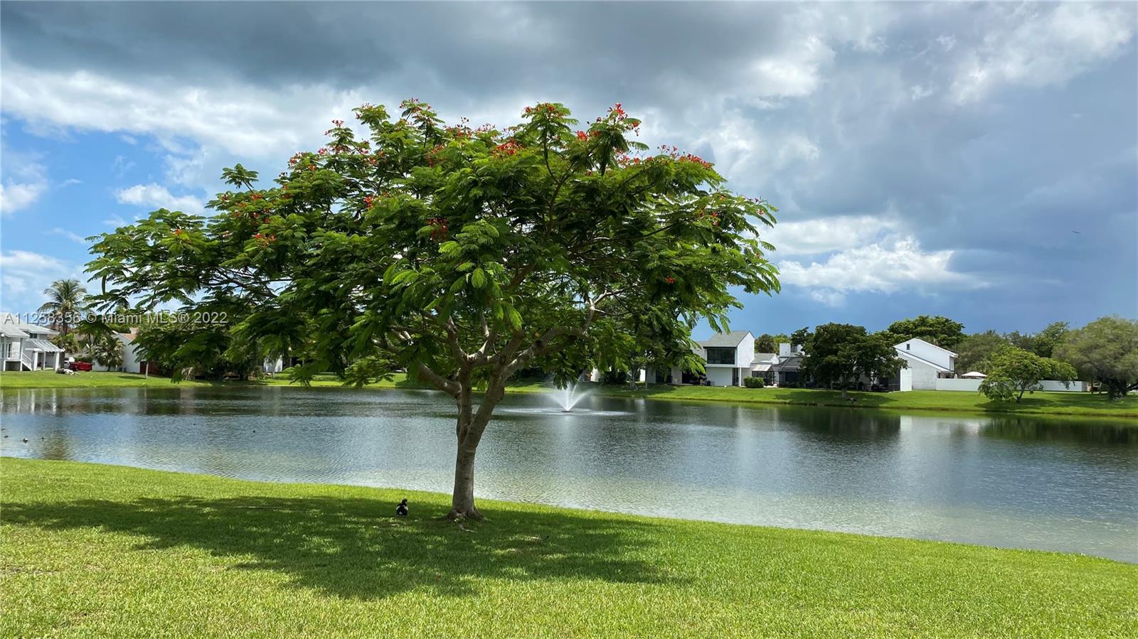 20309 Southwest 86th Court Cutler Bay, FL 33189 - Photo 28 of 59 a view of a lake with a big yard