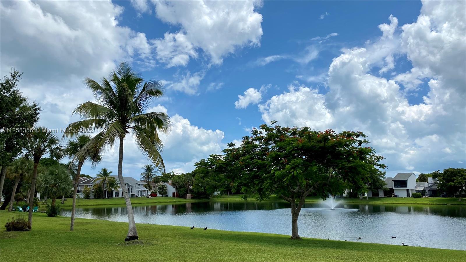20309 Southwest 86th Court Cutler Bay, FL 33189 - Photo 32 of 59 a view of a swimming pool with a garden