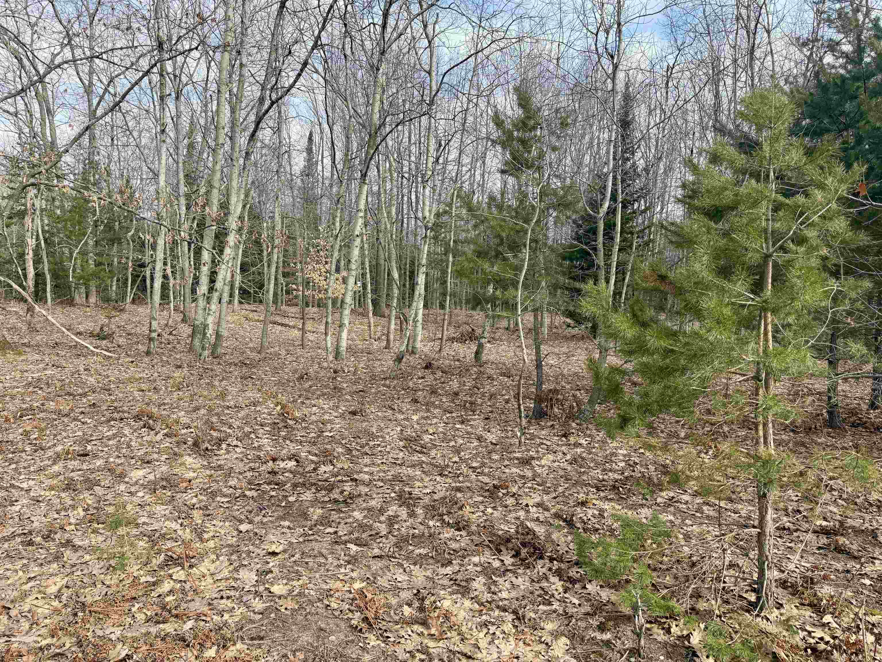 0 East Sandy Lane Cedar, MI 49621 - Photo 10 of 20