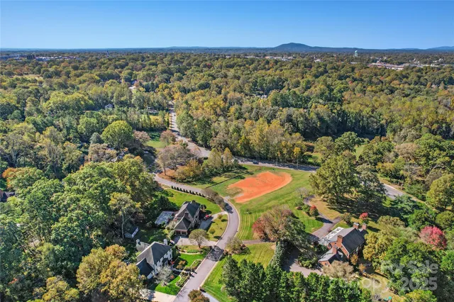 an aerial view of a residential houses with outdoor space