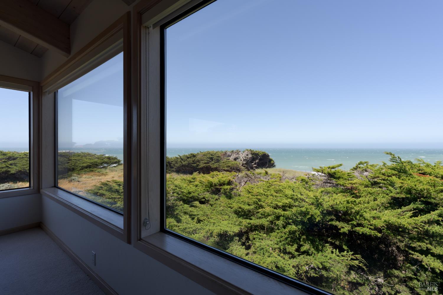 256 Ballast Road The Sea Ranch, CA 95497 - Photo 33 of 66 View from living room
