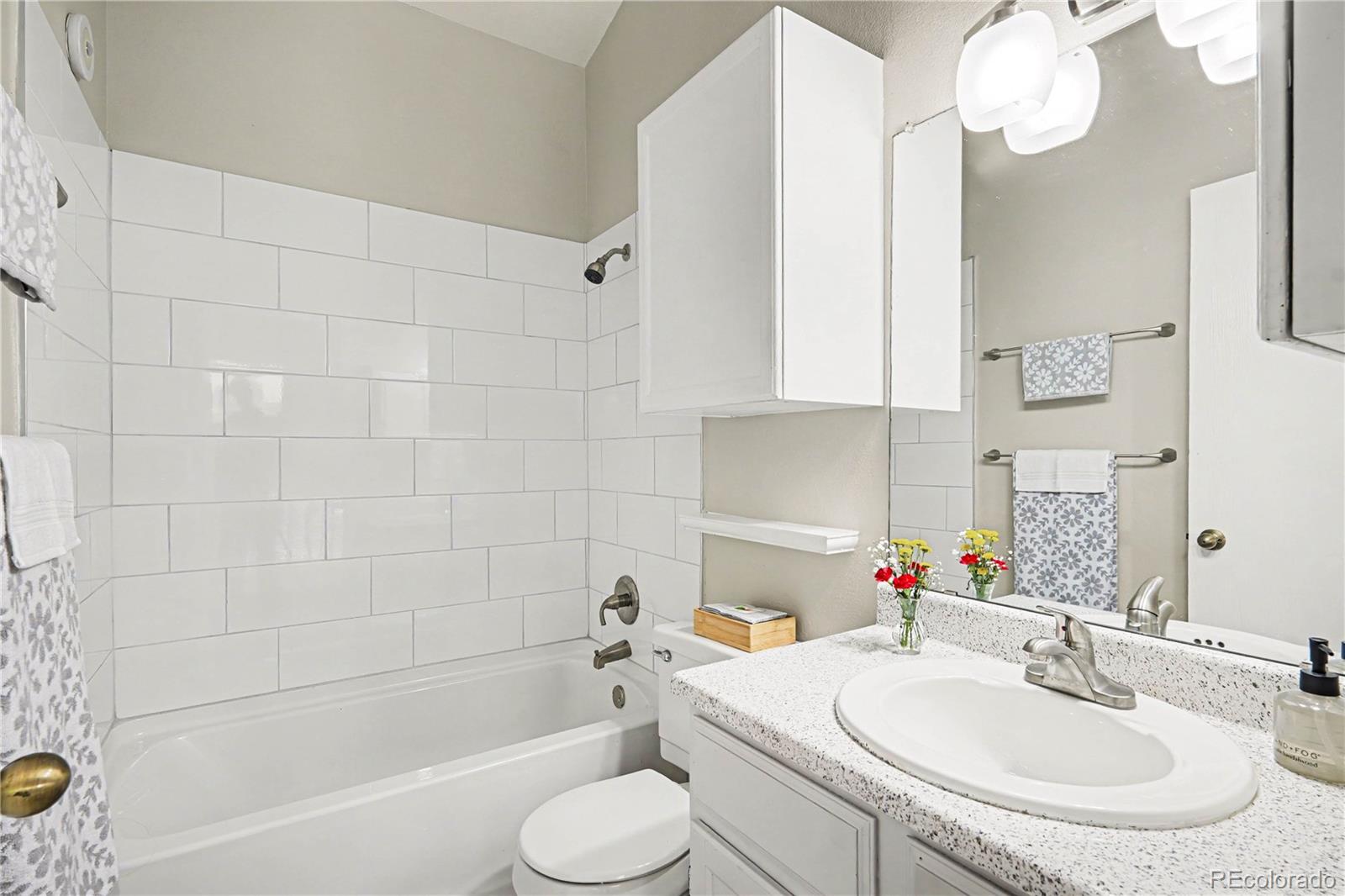 828 Summer Drive Highlands Ranch, CO 80126 - Photo 16 of 23