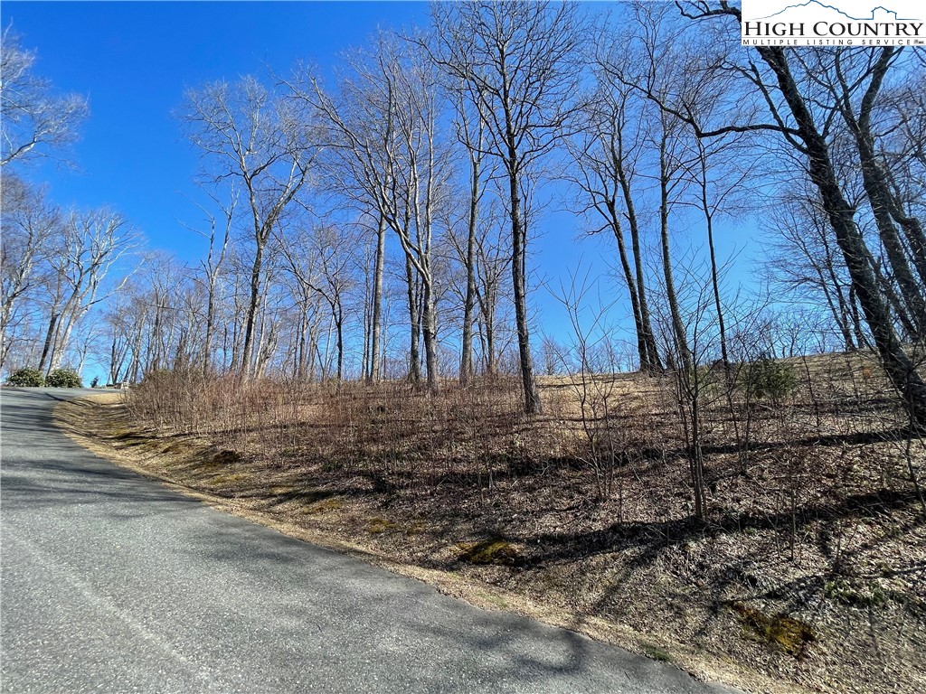 Tbd Lot #4 Tbd Ridge Lansing, NC 28643 - Photo 20 of 23 a backyard of a house