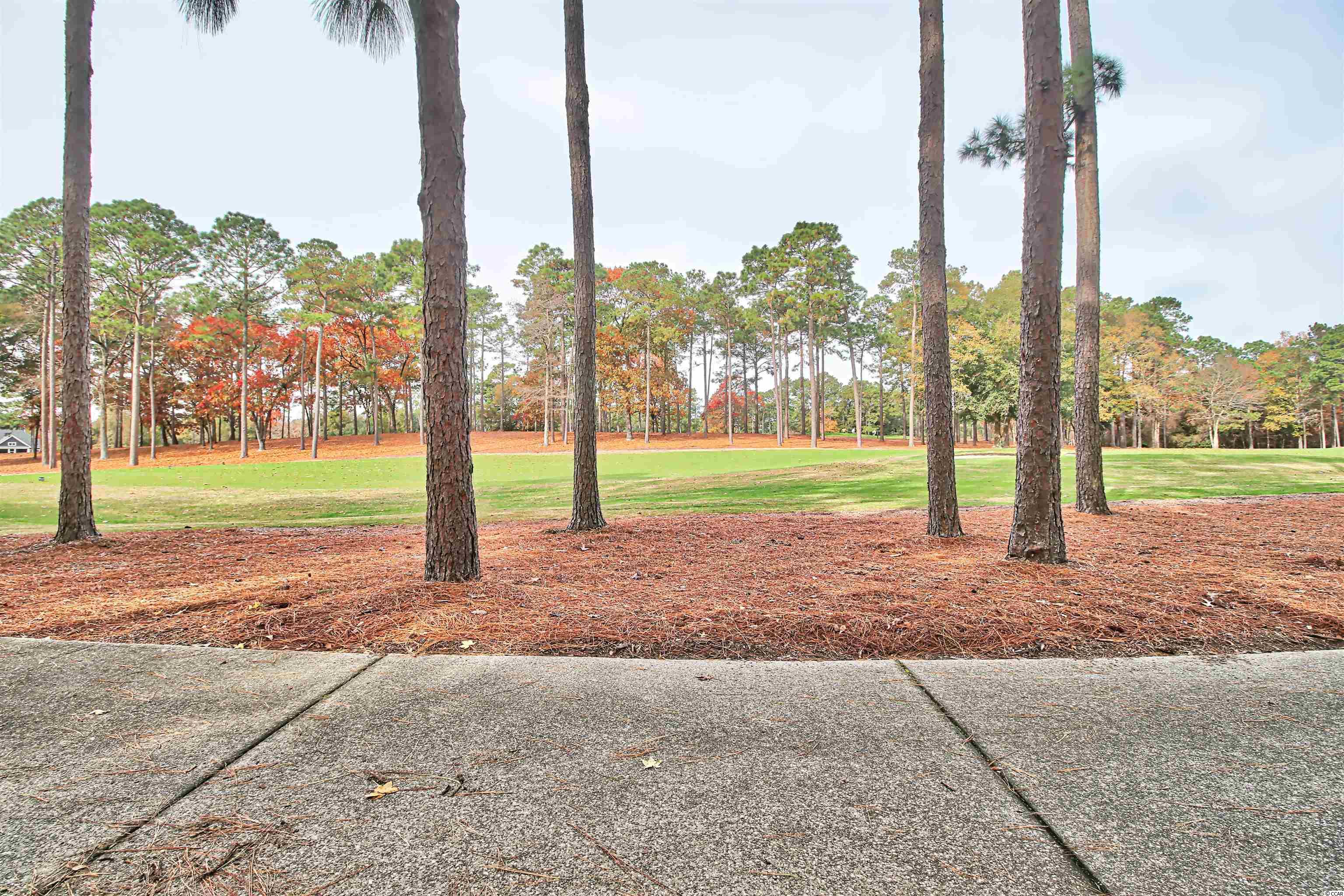 17 Cascade Drive Murrells Inlet, SC 29576 - Photo 36 of 40 Gallery Image 36