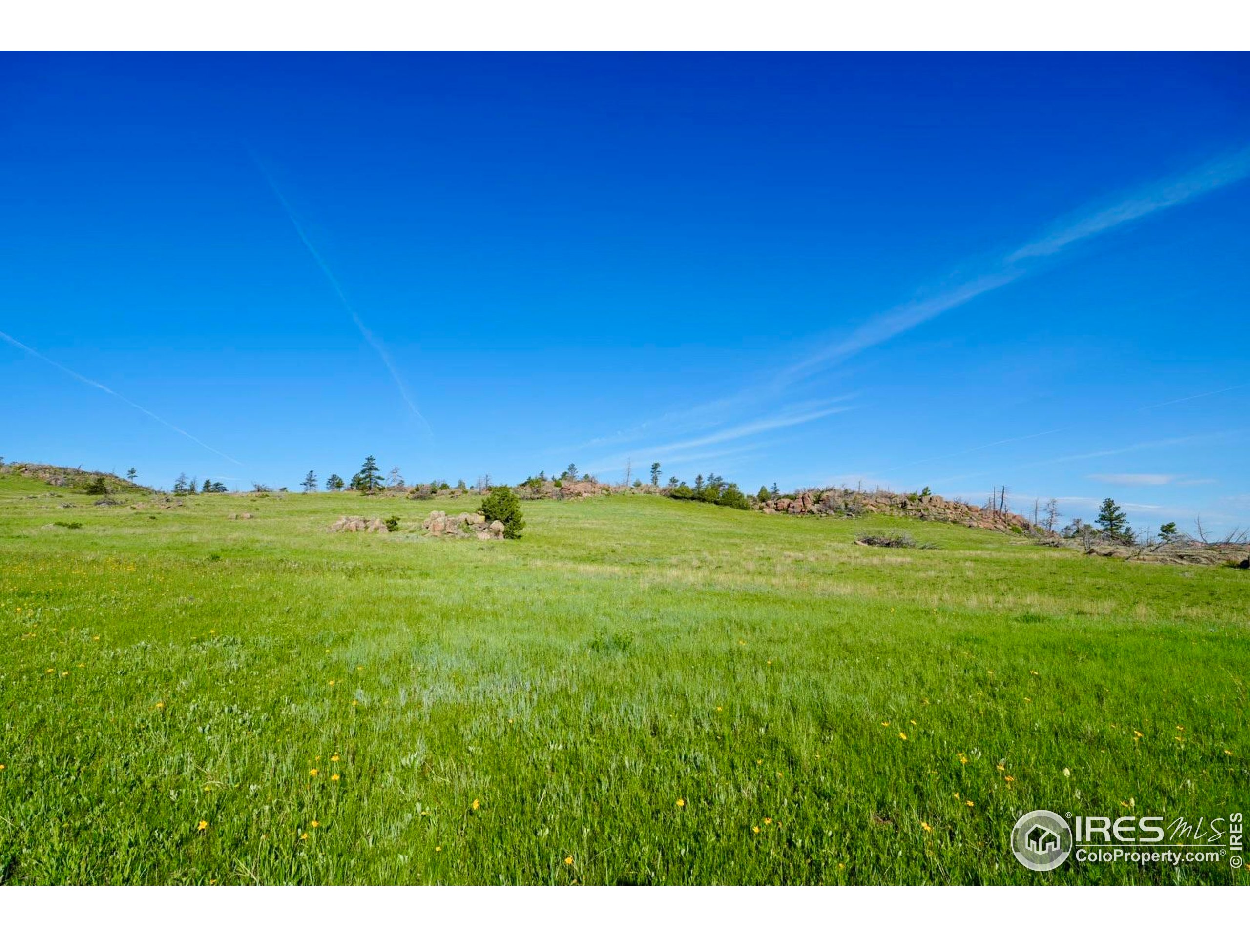 0 82 E Road Livermore, CO 80536 - Photo 12 of 31