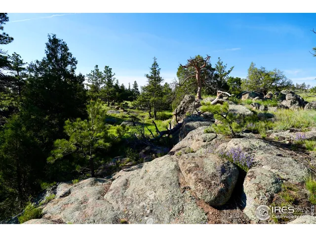 $319,000 | 0 82 E Road, Livermore, CO 80536