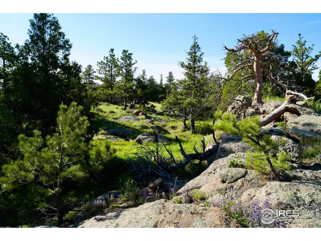 $319,000 | 0 82 E Road, Livermore, CO 80536