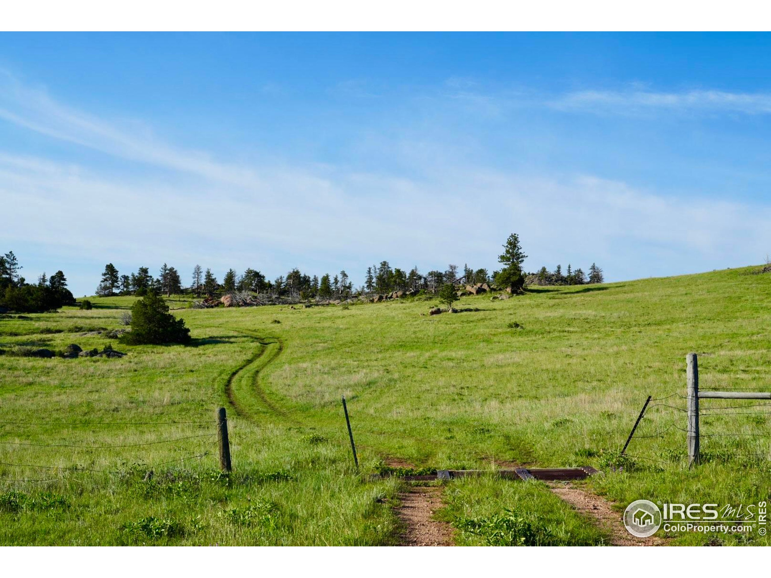 0 82 E Road Livermore, CO 80536 - Photo 25 of 31