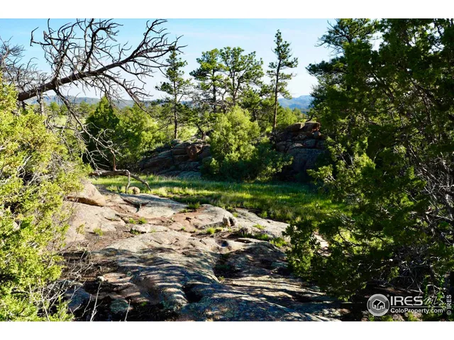 $319,000 | 0 82 E Road, Livermore, CO 80536