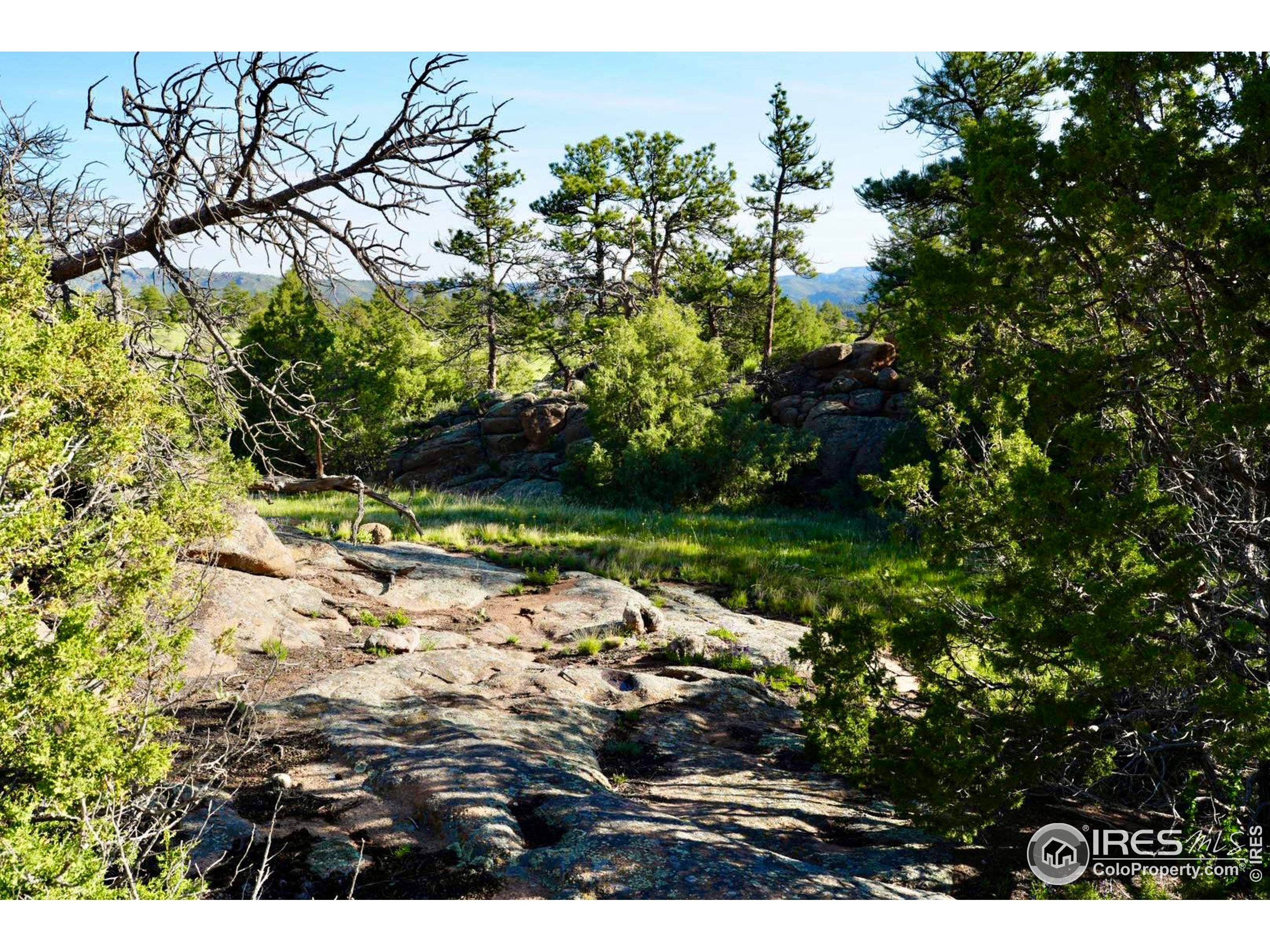 0 82 E Road Livermore, CO 80536 - Photo 3 of 31