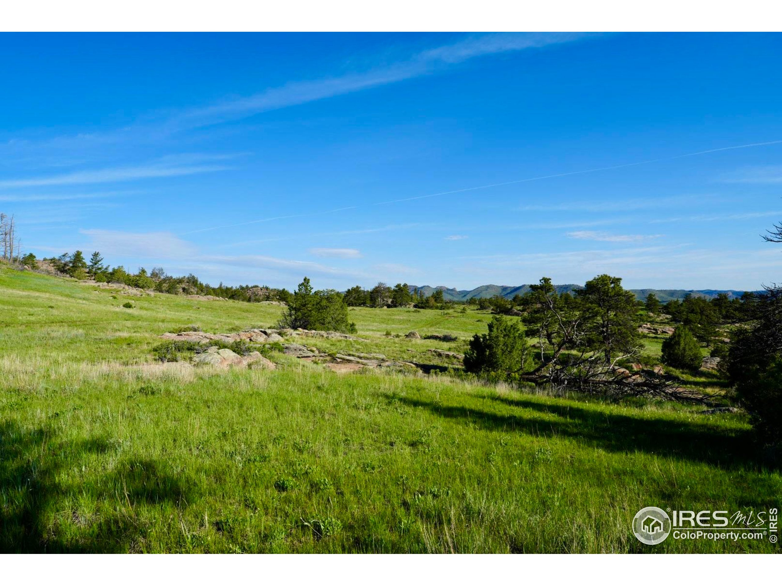 0 82 E Road Livermore, CO 80536 - Photo 4 of 31