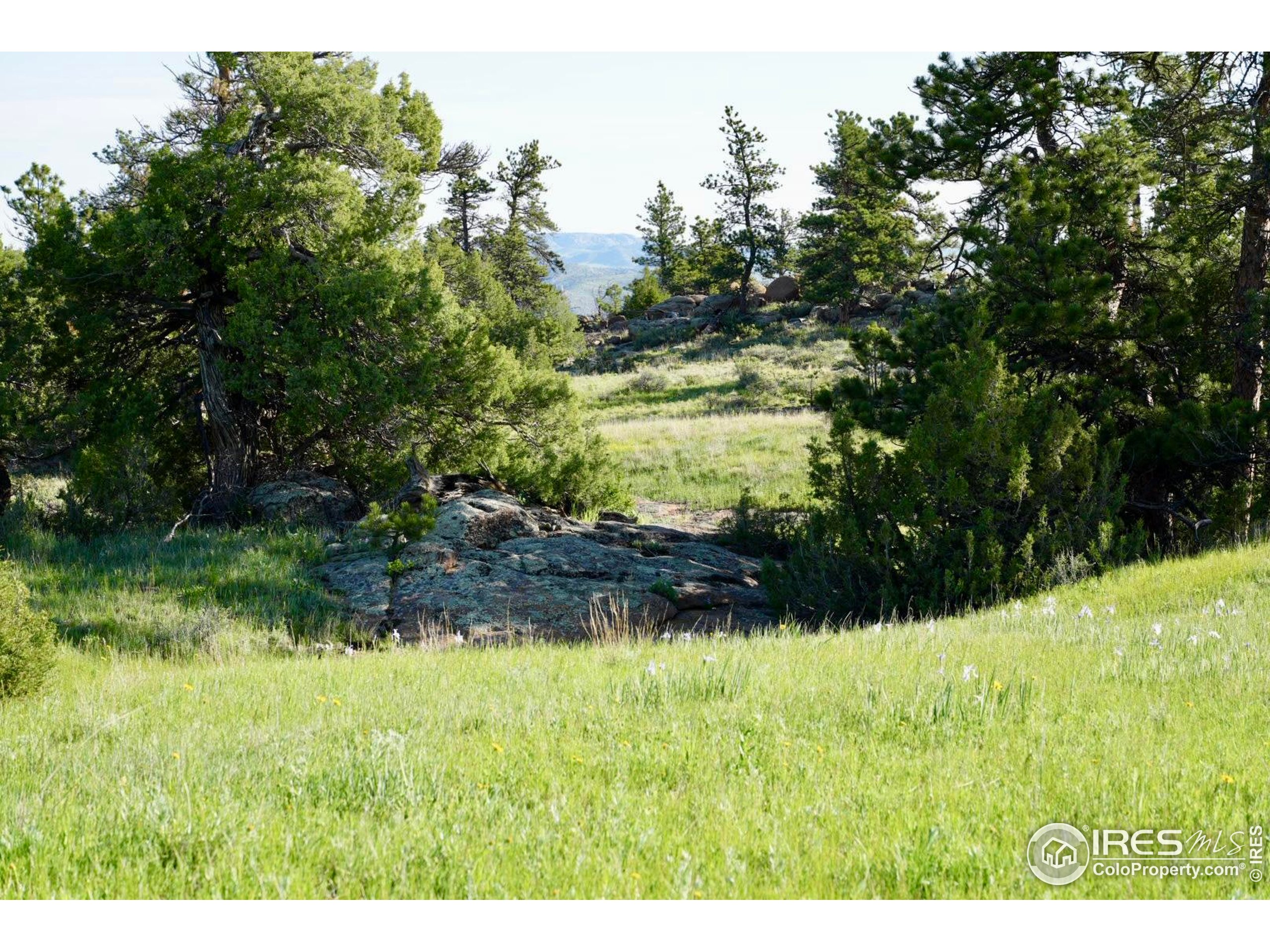 0 82 E Road Livermore, CO 80536 - Photo 5 of 31