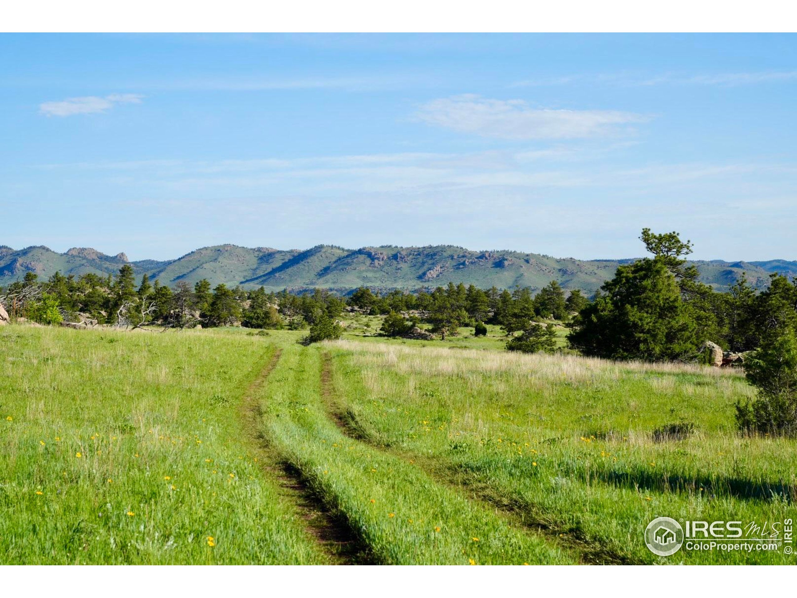 0 82 E Road Livermore, CO 80536 - Photo 7 of 31