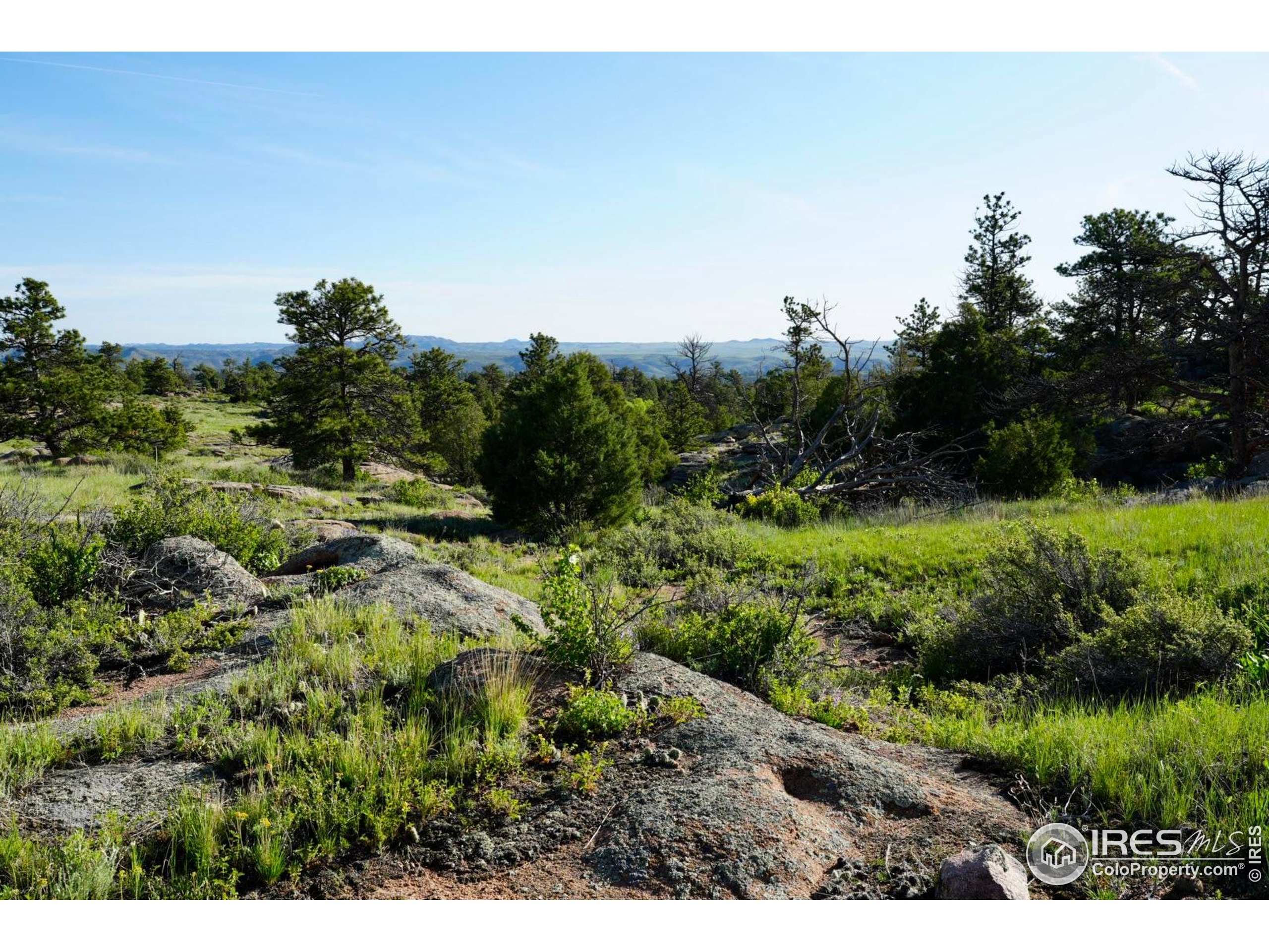 0 82 E Road Livermore, CO 80536 - Photo 8 of 31