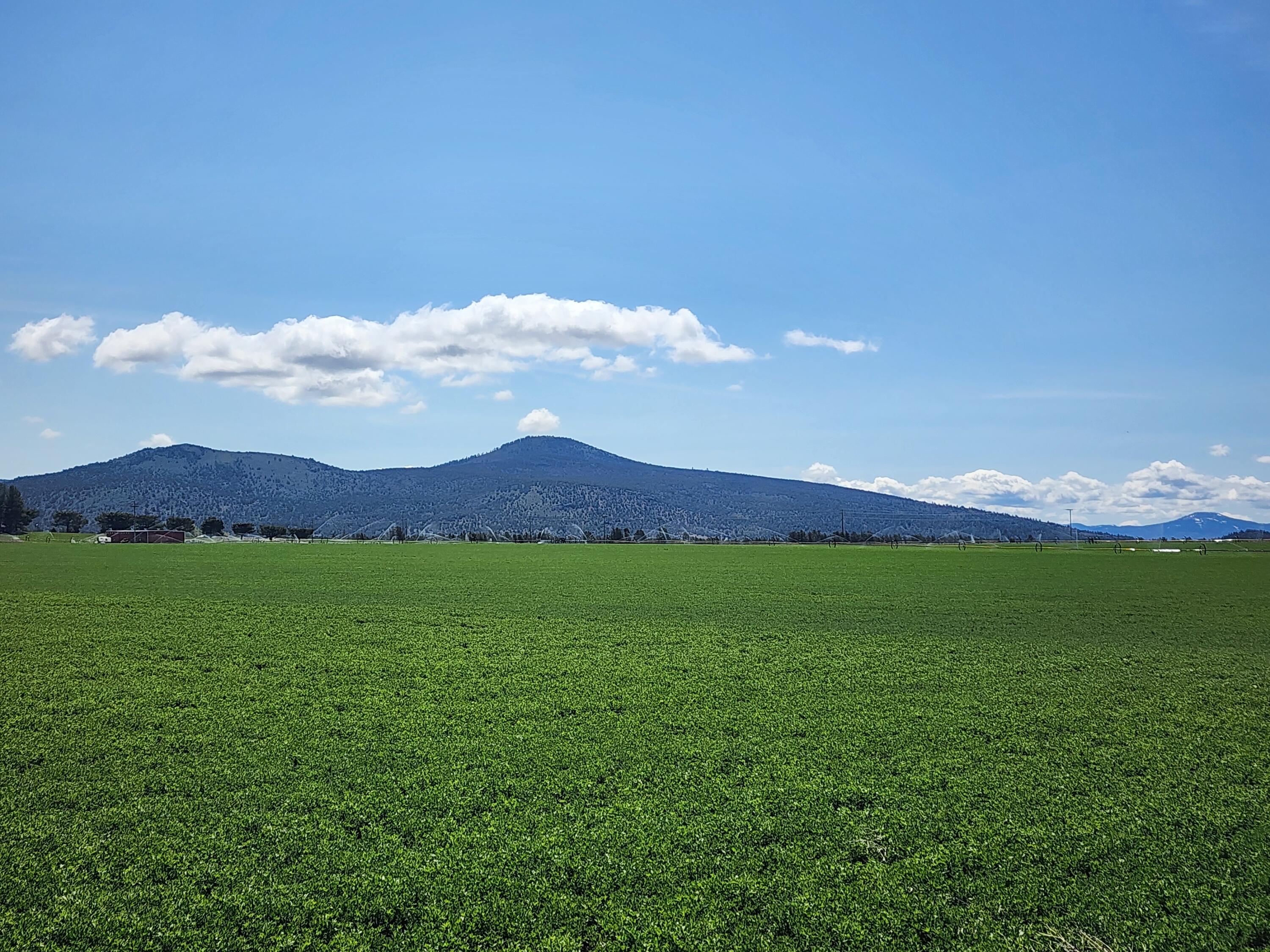 2935 Sheep Mountain Road Macdoel, CA 96058 - Photo 47 of 137 20250516_111849