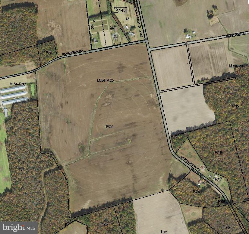 0 Laurel Grove Road Federalsburg, MD 21632 - Photo 1 of 2