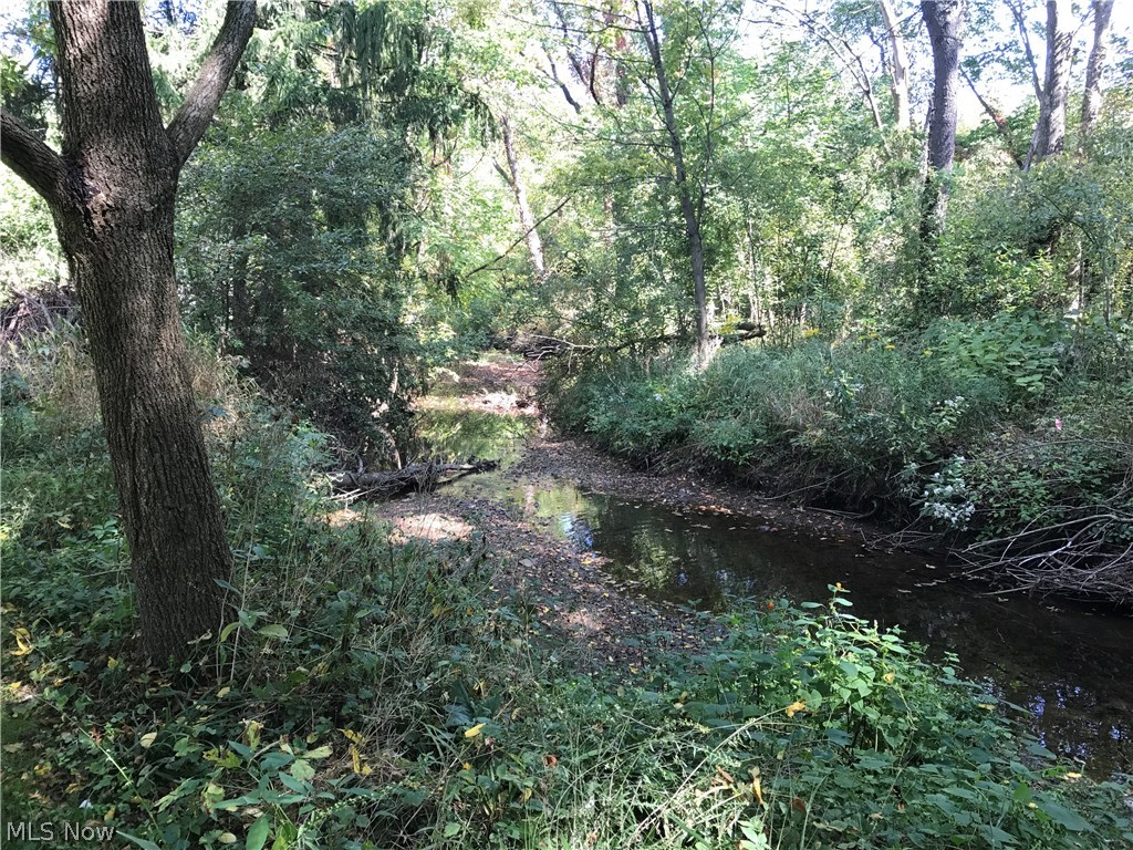 4199 Mayfair Road Uniontown, OH 44685 - Photo 18 of 22 Creek that runs through the property