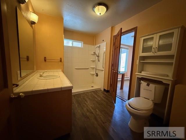 667 Decoria Avenue Arco, ID 83213 - Photo 9 of 20