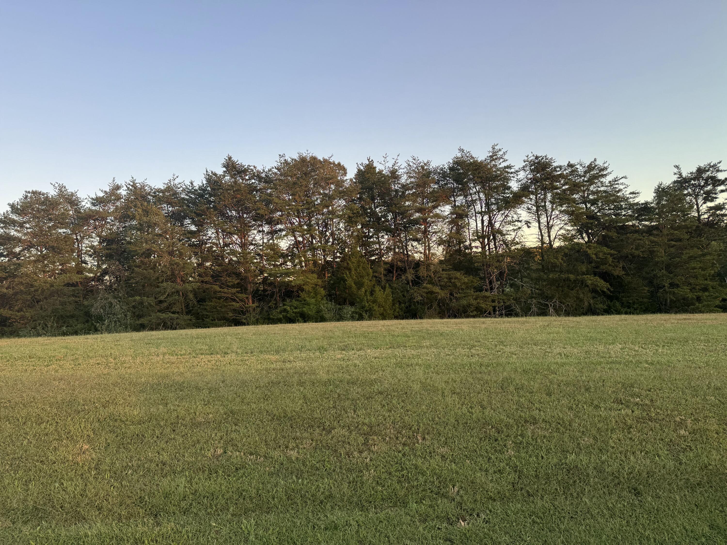 Lot 24 Nyle Ridge Road Wirtz, VA 24184 - Photo 6 of 8 a view of outdoor space and yard