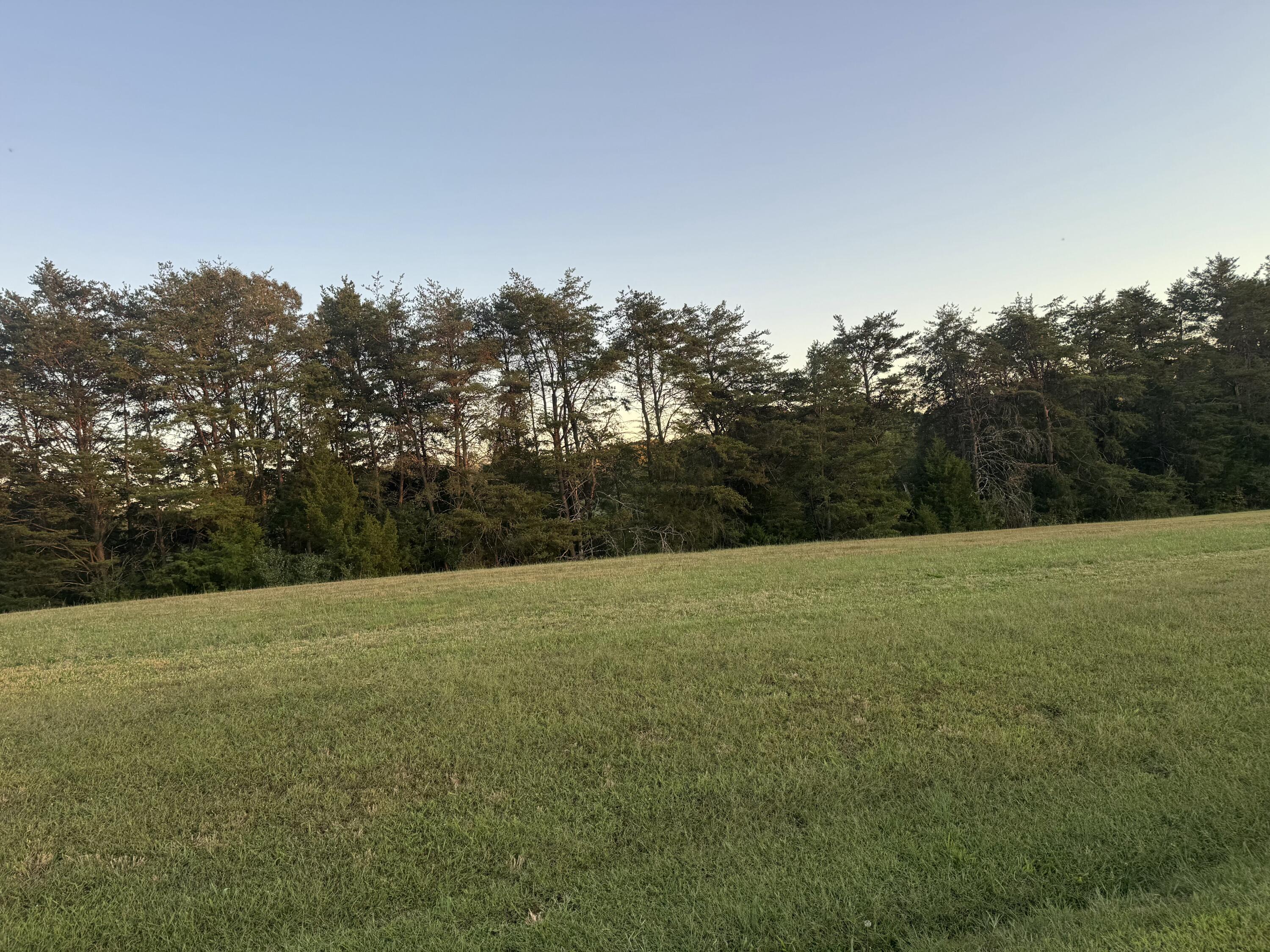 Lot 24 Nyle Ridge Road Wirtz, VA 24184 - Photo 7 of 8 a view of outdoor space and yard