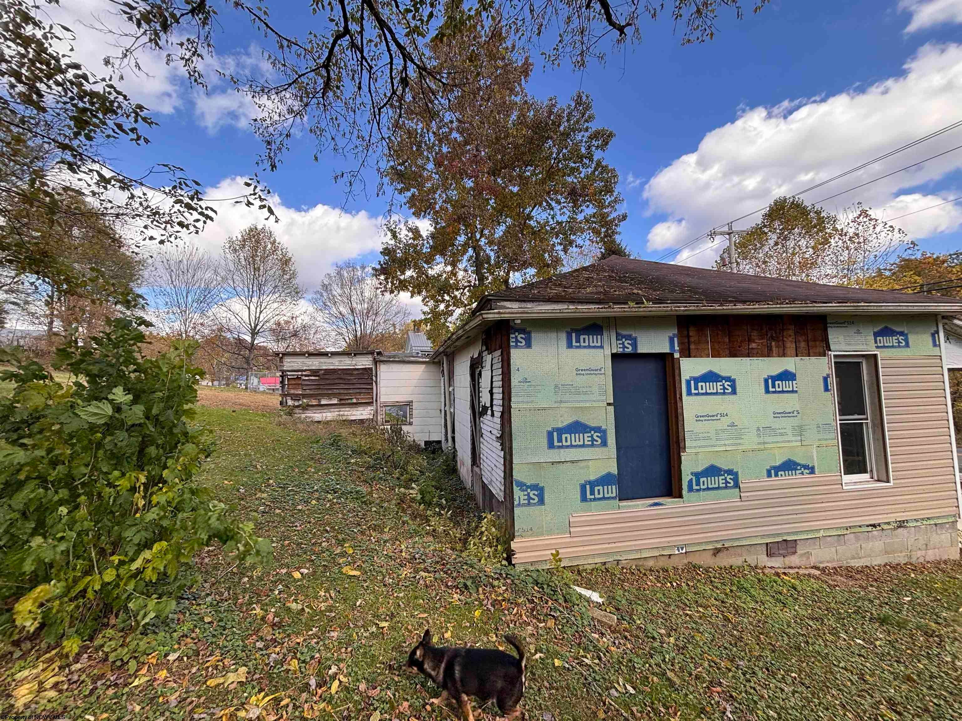 424 Talbott Road Belington, WV 26250 - Photo 3 of 8 Gallery Image 3