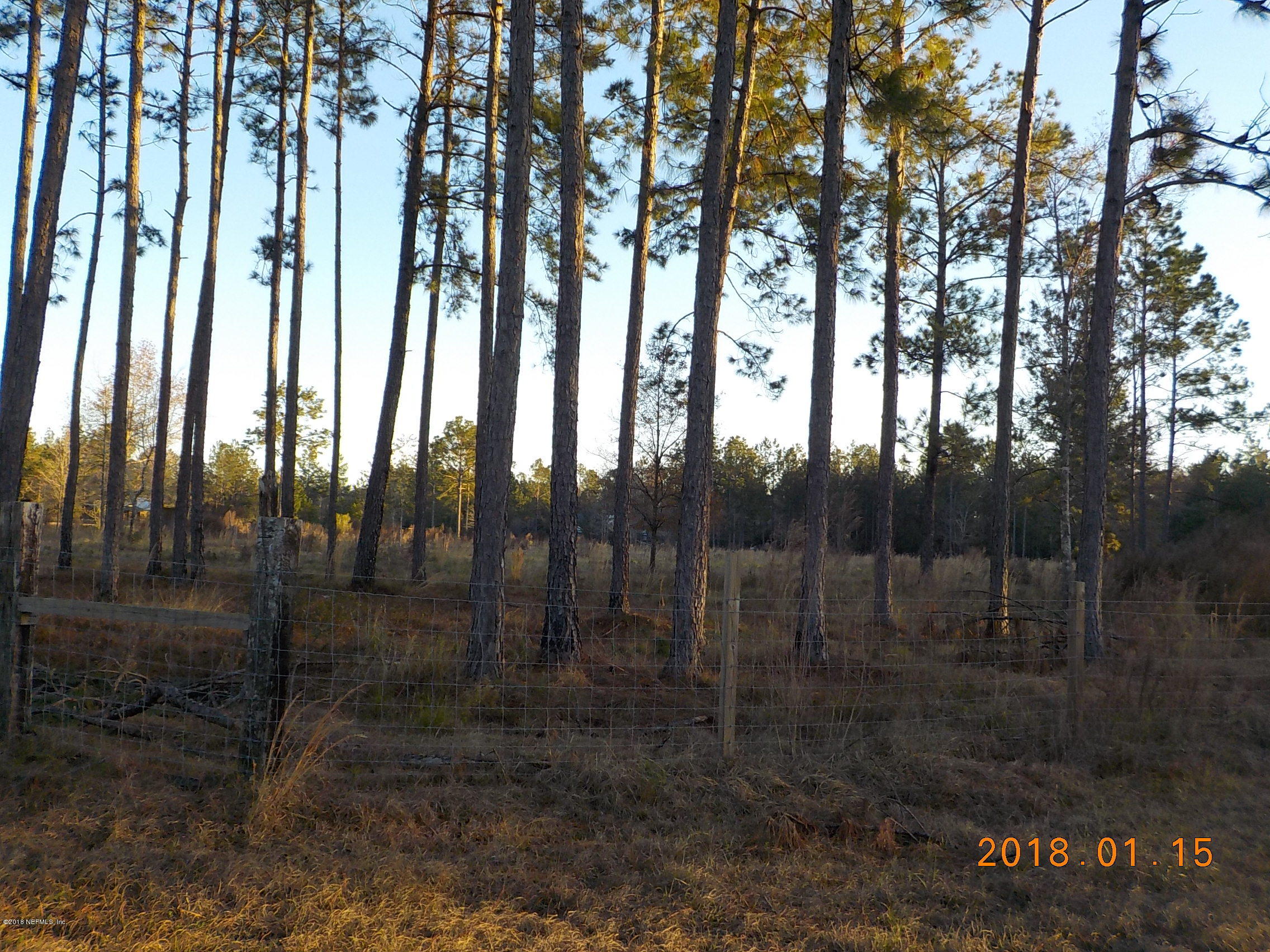 0 Plantation Road Macclenny, FL 32063 - Photo 4 of 7 DSCN0305