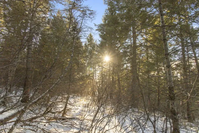 $390,000 | 3100 Sorensen Creek Drive, Victor, ID 83455