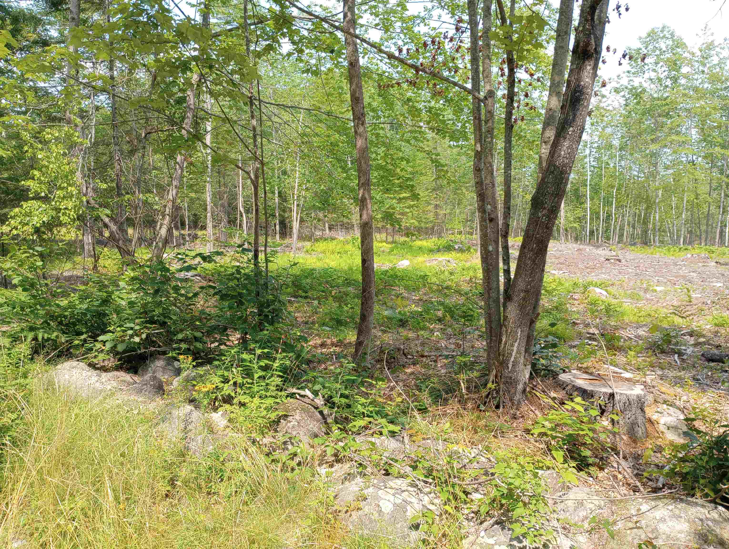 6 Milbrook Road, Unit 6 Bridgton, ME 04009 - Photo 2 of 3