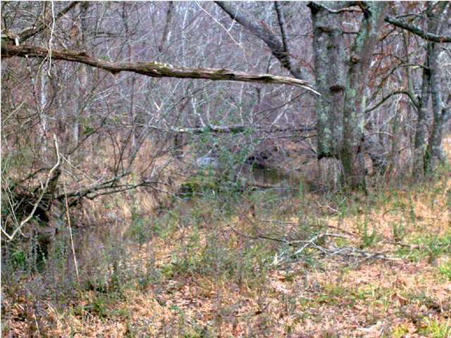 27 Spring Place Road Cleveland, TN 37323 - Photo 2 of 9 Additional Photo