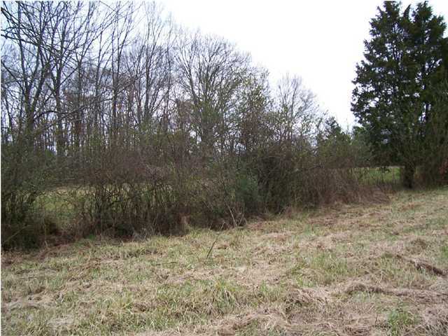 27 Spring Place Road Cleveland, TN 37323 - Photo 4 of 9 Additional Photo