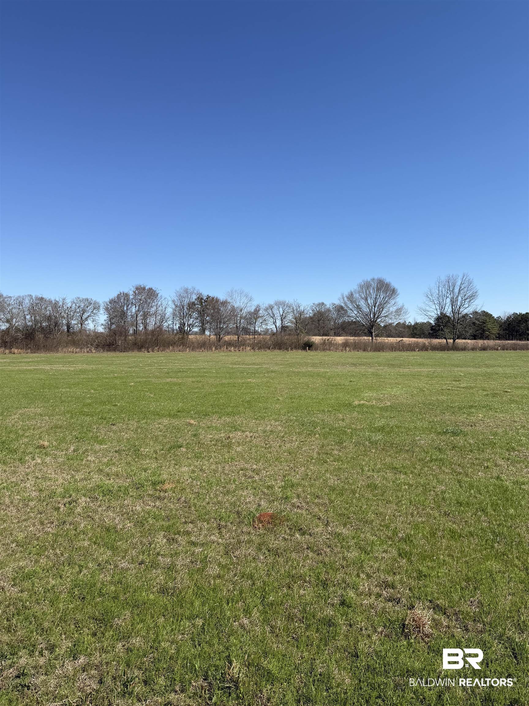 325 Honoraville Road Greenville, AL 36037 - Photo 2 of 10 View of green lawn with a view of countryside