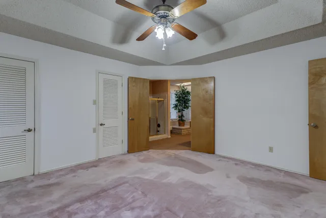 a living room with a potted plant