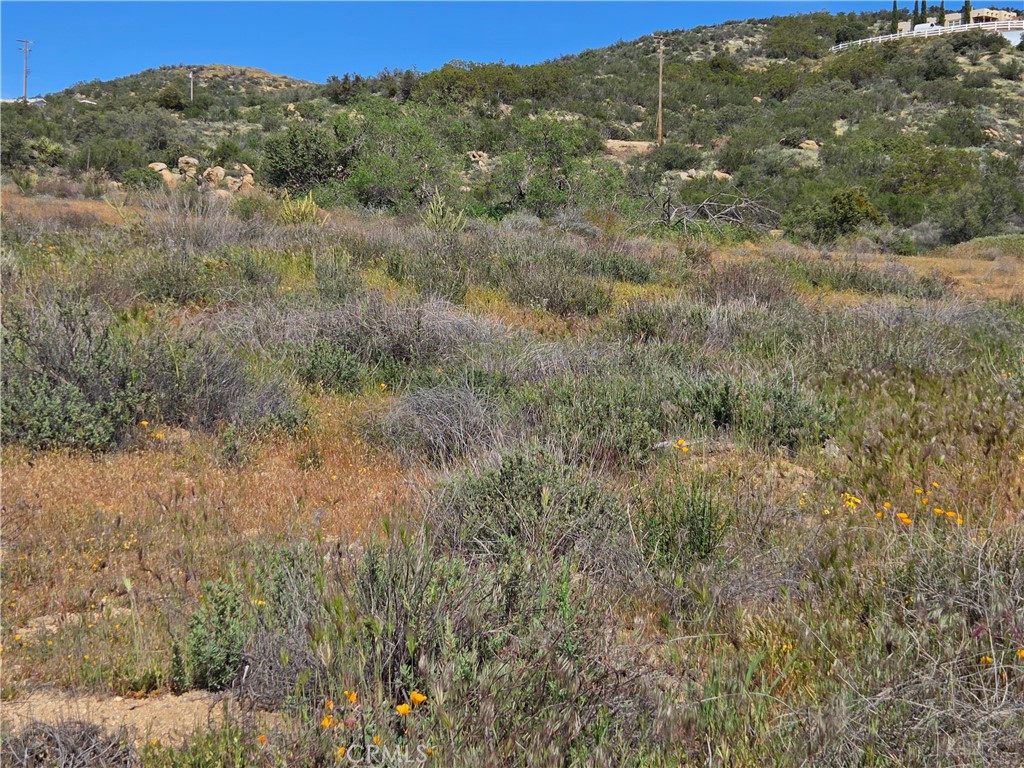 5 Fletcher Anza, CA 92539 - Photo 2 of 7