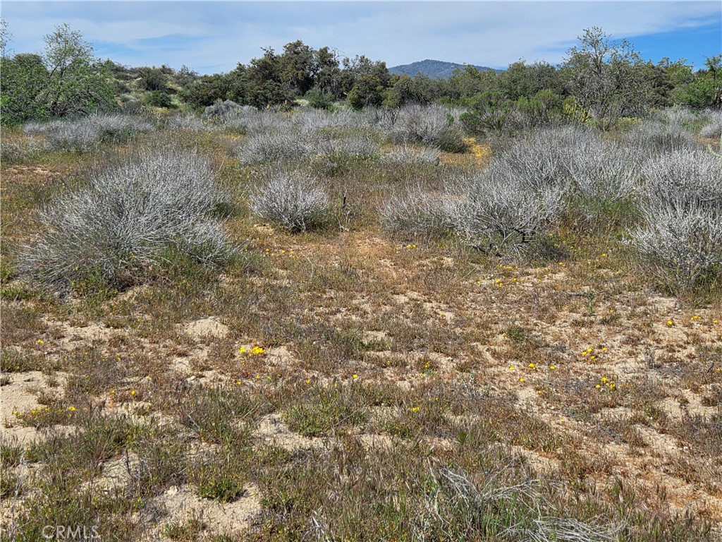 5 Fletcher Anza, CA 92539 - Photo 6 of 7