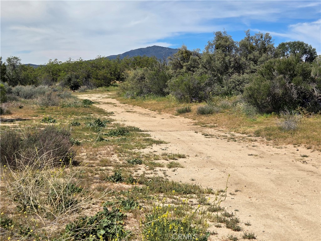 5 Fletcher Anza, CA 92539 - Photo 7 of 7