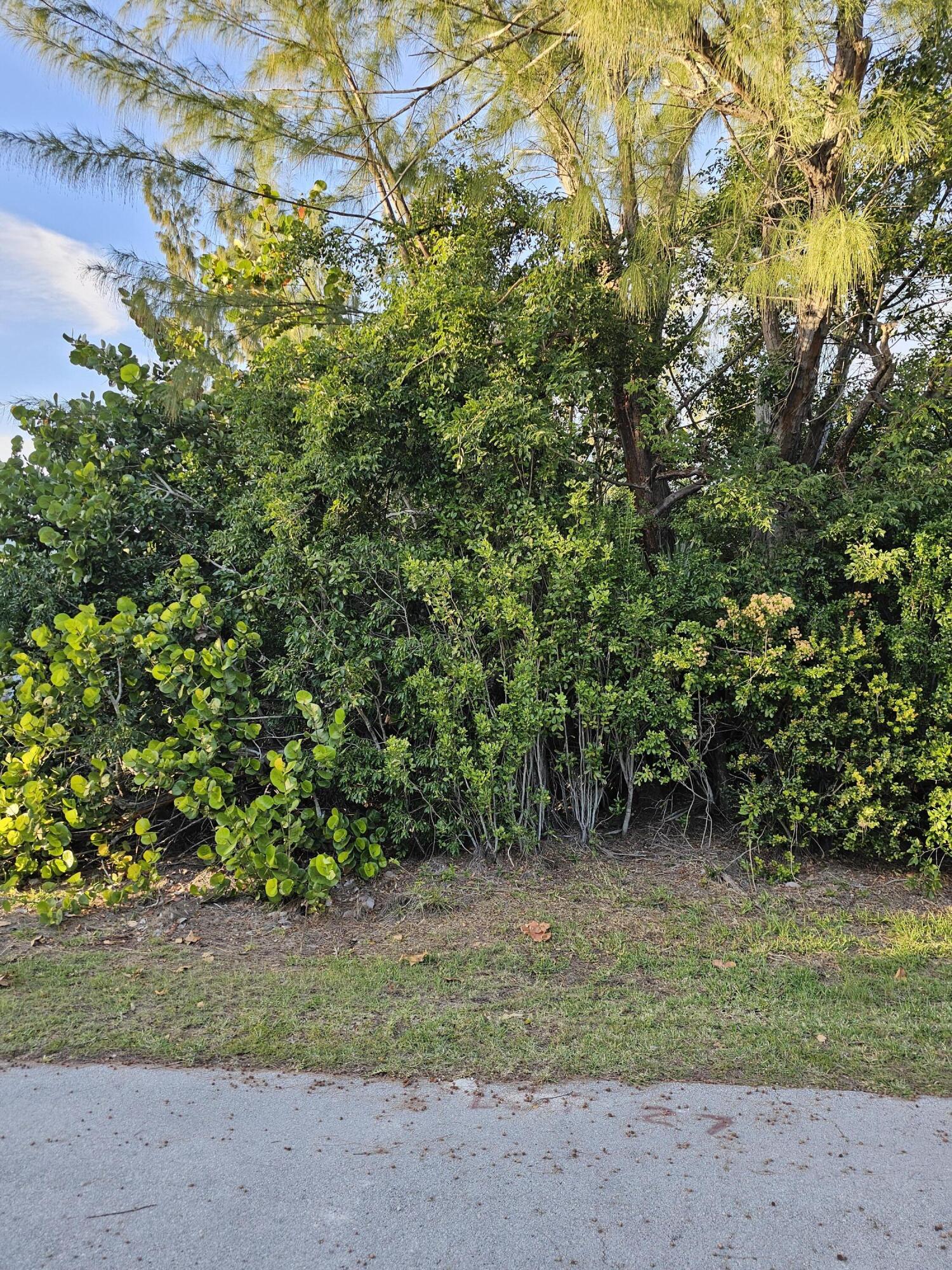 Lot 27 Angelfish Road Summerland Key, FL 33042 - Photo 3 of 6 3