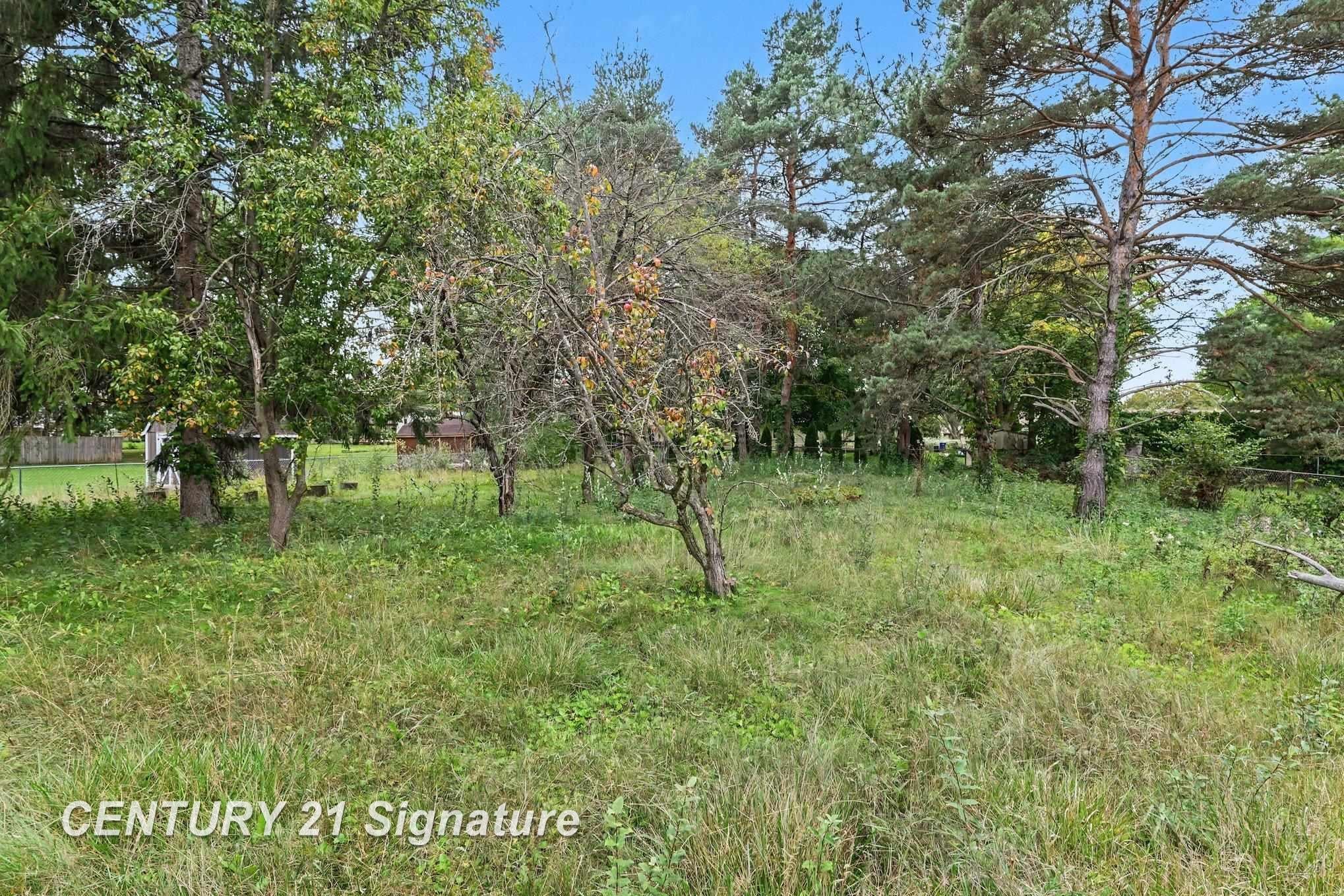 4171 North Thomas Road Freeland, MI 48623 - Photo 28 of 30 Gallery Image 28
