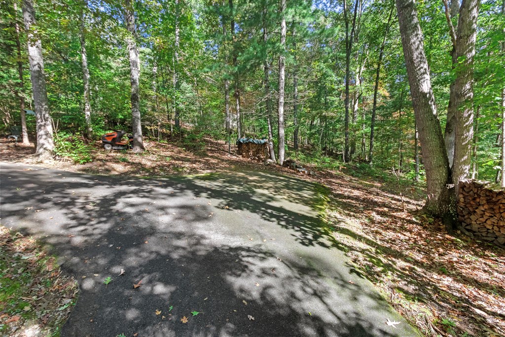 196 Lakeview Lane Murphy, NC 28906 - Photo 4 of 74