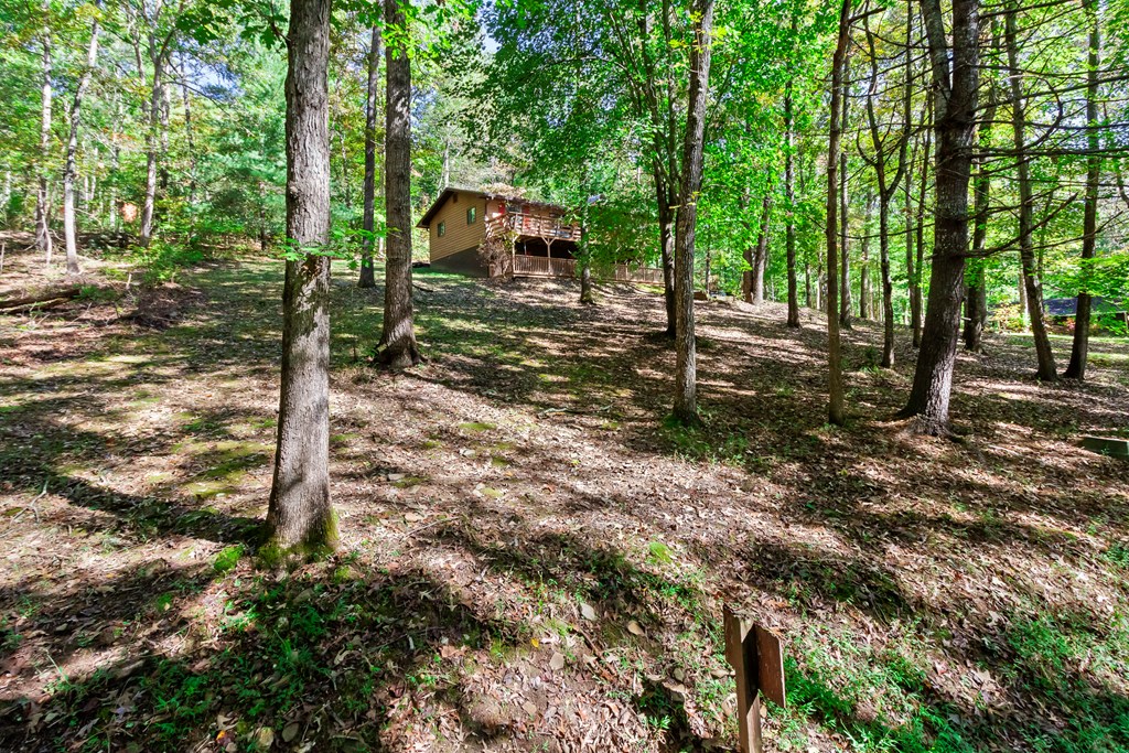 196 Lakeview Lane Murphy, NC 28906 - Photo 68 of 74