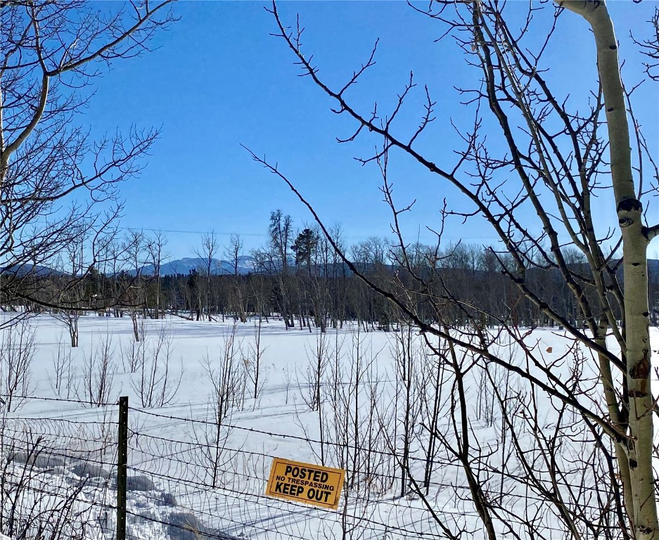 Tbd Beaver Creek Road Fairplay, CO 80440 - Photo 12 of 39 a view of a yard with wooden fence
