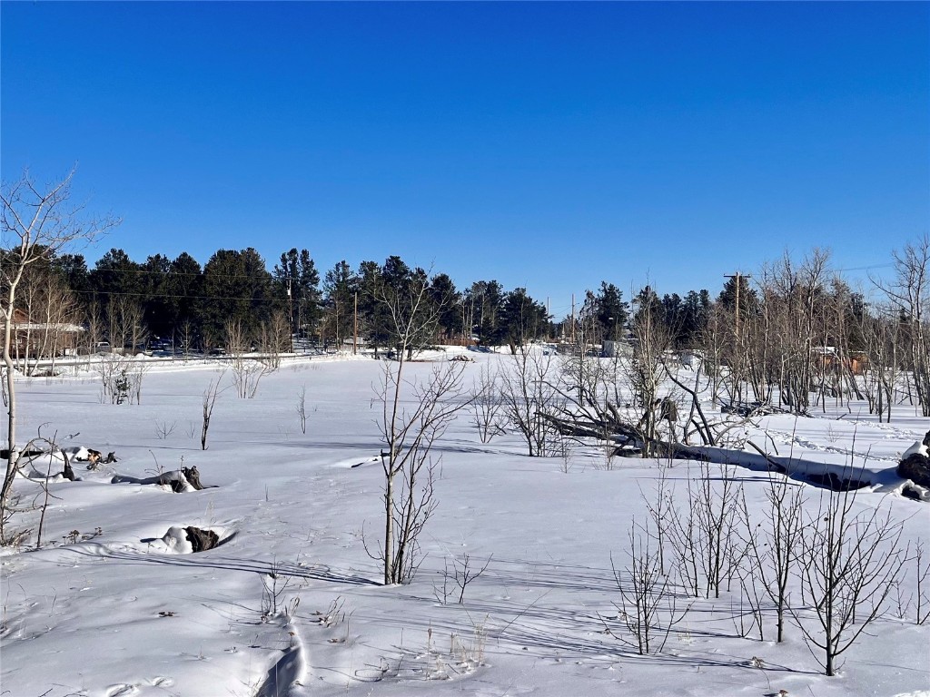 Tbd Beaver Creek Road Fairplay, CO 80440 - Photo 14 of 39 a view of a yard with a slide